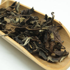 HelloYoung High Quality 500g Fuding White Tea Loose Leaf Old White Tea Weight Loss