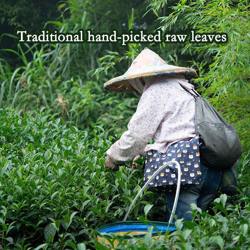 250g High Mountain Milk Oolong Tea Organic Tea Loose Leaf Green Milk Oolong Tea