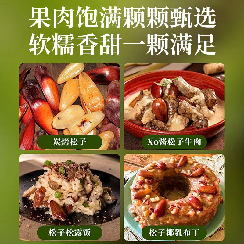 Yunnan Parana Pine Nuts – Hand-Picked Jumbo Shelled