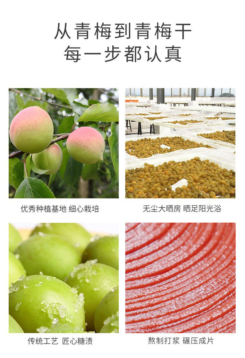 Japanese Style Plum Slices Natural Flavor Snacks Small Pack