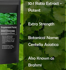 Gotu Kola Extract Powder 17.6oz Centella Asiatica