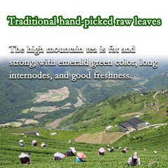 Milk Oolong Tea 250g Tie Guan Yin Natural Green Tea Taiwan Tea