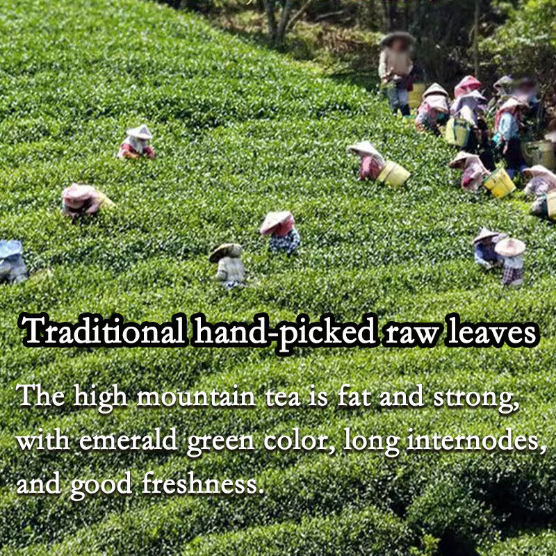Taiwan Milk Oolong Jinxuan Oolong Alishan High Mountain Tea 250g Hand Harvested