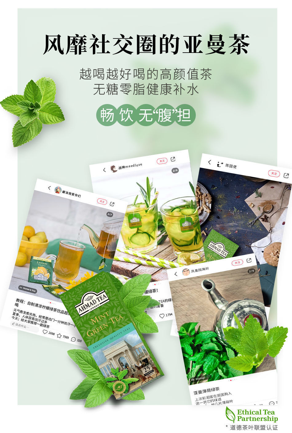 Tea Moroccan Flavor Mint Flavored Green Tea Bags Tea Bags 25 Bags/box
