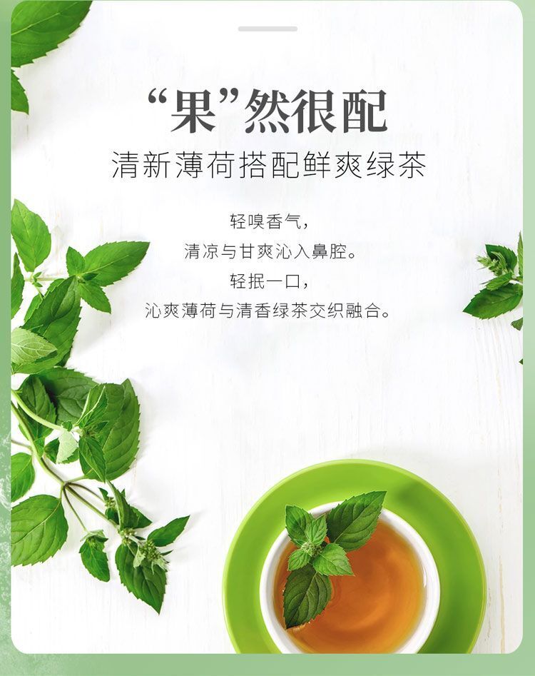 Peppermint Green Tea Refreshing Tea for Work Drowsy Awake Tea Bags 20 Bags