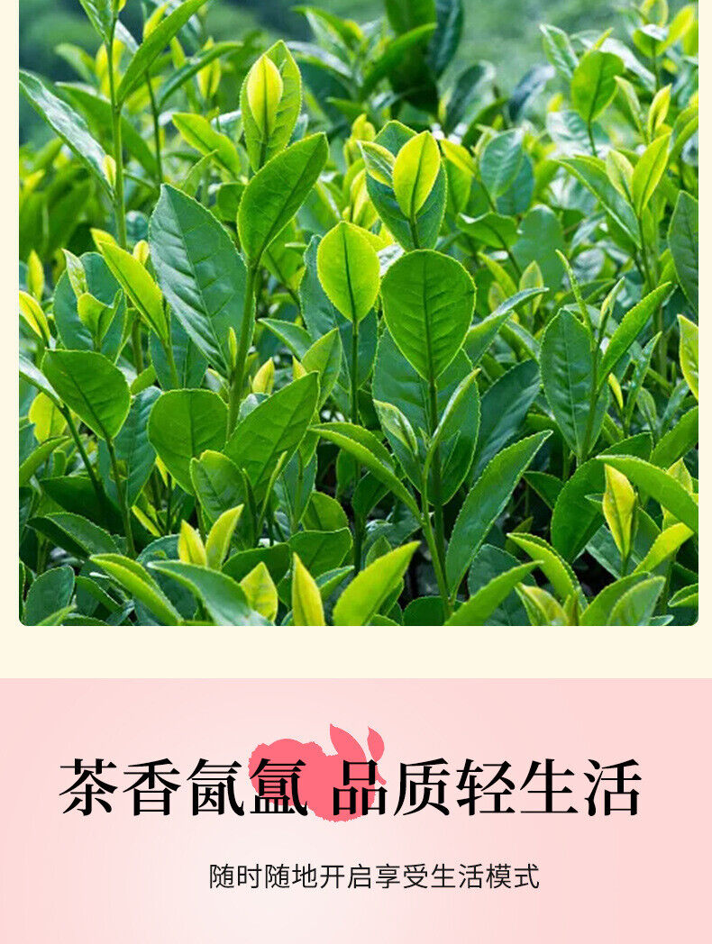 Zhengshan Xiao Seed Lychee Black Tea Strong Flavor Fruit Tea Black Tea Bag 250g