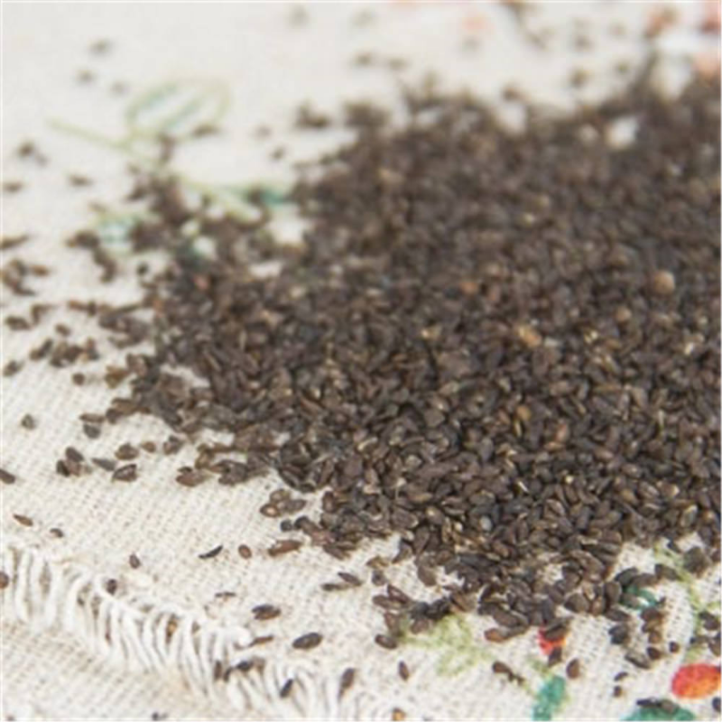 250g Plantago Asiatica Seed 车前子 Che Qian Zi Plantain Seed Psyllium Seed Natural