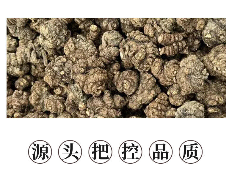 100g Canned Ligusticum Herbal Tea for Si Wu Tang Natural Health Supplement