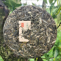 357g/12.59oz Natural Arbor Cha Pu'er Tea Organic Green Tea Cake Health Care  tea