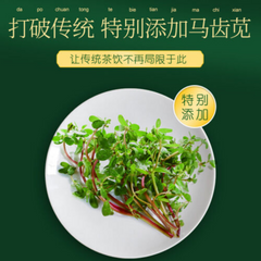 菊苣马齿苋茶栀子茶Juju Machixian tea 薏苡仁 甘草山楂桔梗百合排酸降尿酸茶天然健康natural healthy herb tea同仁堂