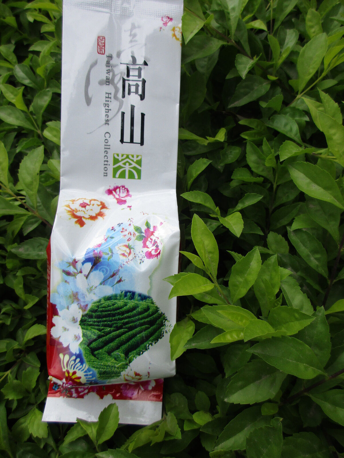 Milch Geschmack Oolong Tee 125g Tiguanyin Grüner Tee Jin Xuan Milky Oolong Tee