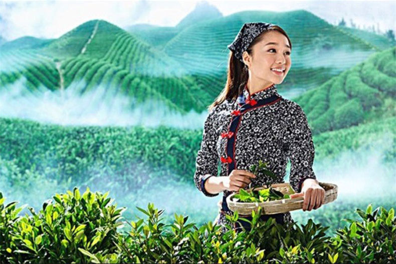 HelloYoung1000g Matcha Tea Green Tea Powder 100% Natural Organic Slimming Tea Health Care Tea