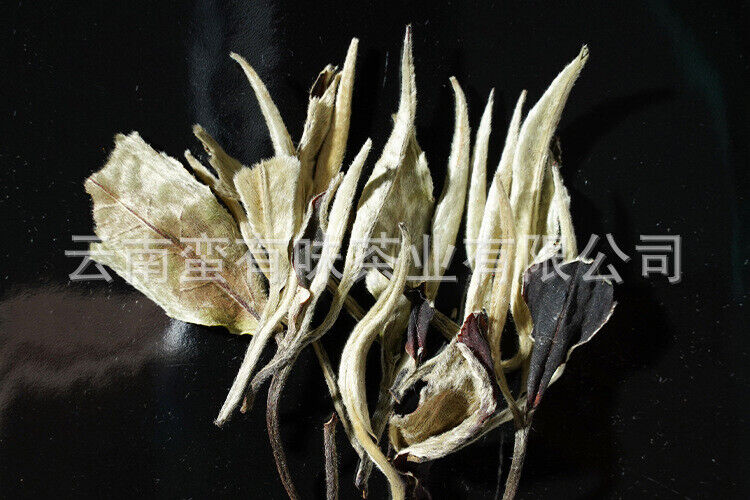 HelloYoung 500g Yunnan Jinggu Yangta Ancient Tree White Tea One Bud One Leaf Scattered Tea