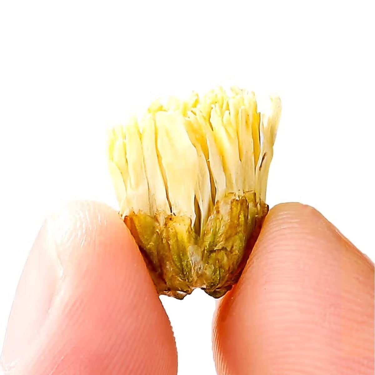 Chrysanthemum Tea Flowers 250g /8.8oz Chrysanthemum loose tea 菊花胎菊茶250g
