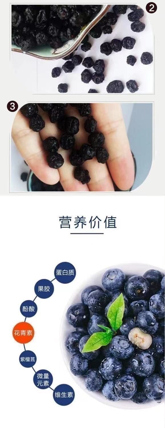 100% Natural Dried Wild Blueberries | No Sugar Added | Healthy Snack | 100g