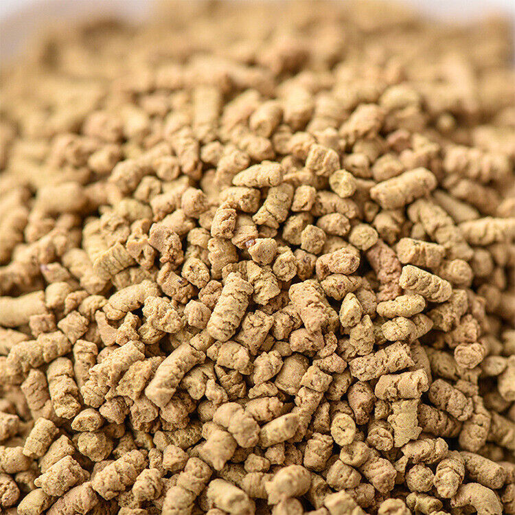 500g Bulk Bitter Buckwheat Tea Daliangshan Buckwheat Tea