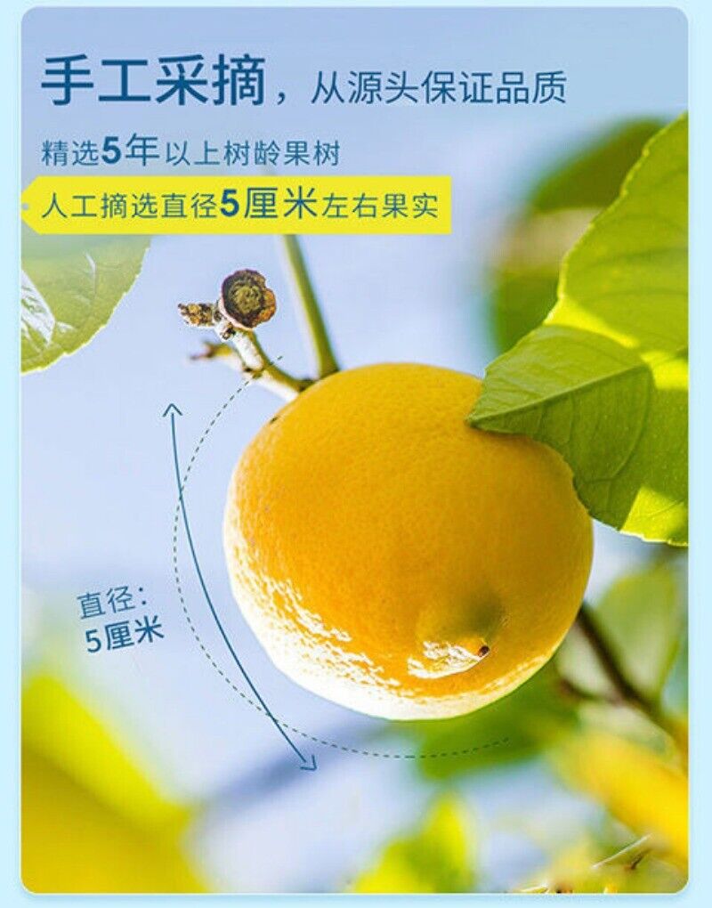 Lemon Slices Fruit Tea Dried Lemon Slices Vitamin C Supplement Lemon Tea 125g