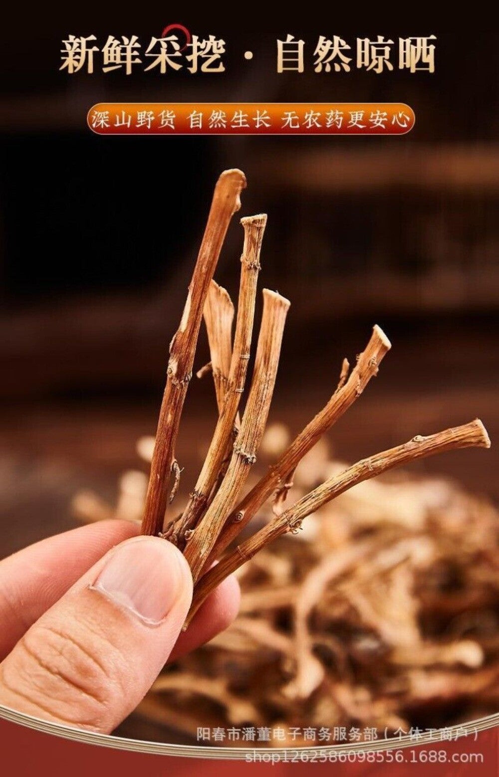 Premium Yangchun Spring Amomum Root 65g Dried Authentic Culinary