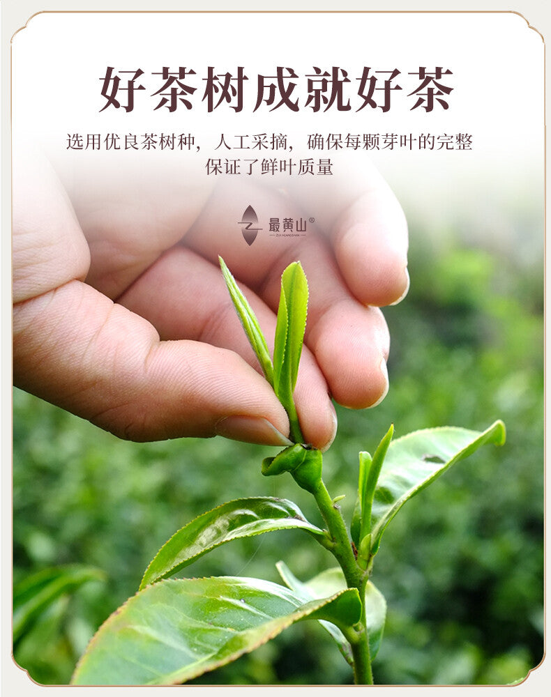 Keemun Black Tea Premium Hong Mao Feng Fragrant Tea for Stomach Health