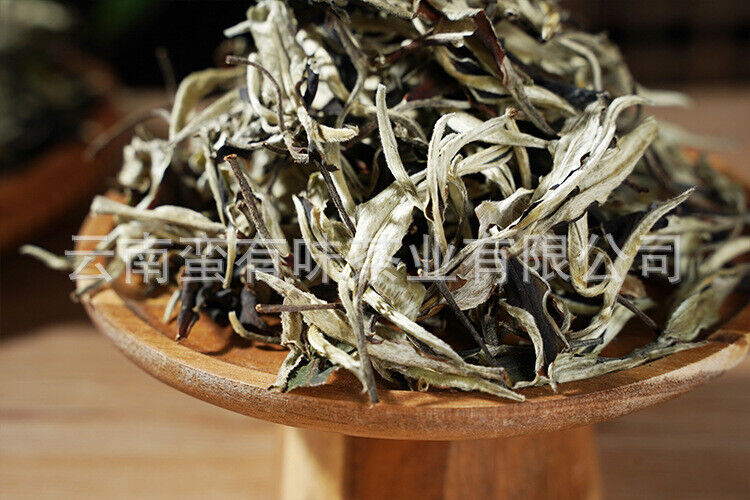HelloYoung 500g Yunnan Jinggu Yangta Ancient Tree White Tea One Bud One Leaf Scattered Tea
