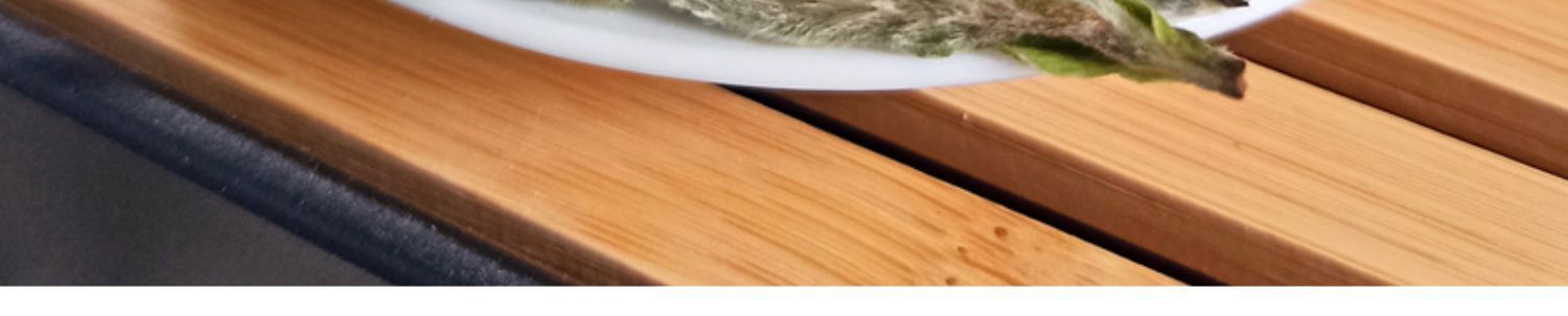 White Tea 50g/can First Spring Tea Loose White Tea Fuding Baihao Yinzhen Fuding