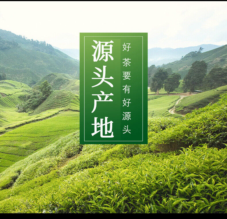 Longjing Tea Green Tea 2024 New Tea Bean Fragrance Authentic High End Gift Tea