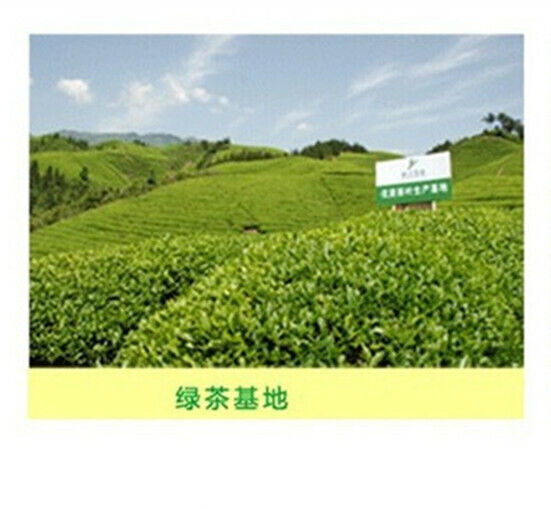 HelloYoung Fresh Biluochun Tea Natural Original Green Tea Organic Herbal Healthy Drink 250g