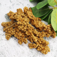 Organic Dried Loquat Flower, Eriobotrya Japonica