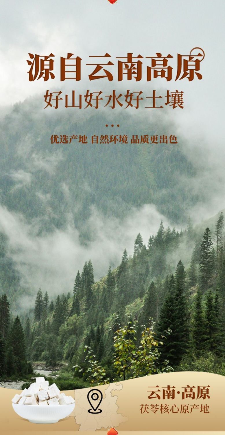 Yunnan White Poria Mushroom – Sulfur-Free Dried Herb