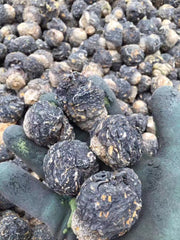Extra Large Black Maca Kali River Maca Yunnan Maca Raw Materials Dried Fruits
