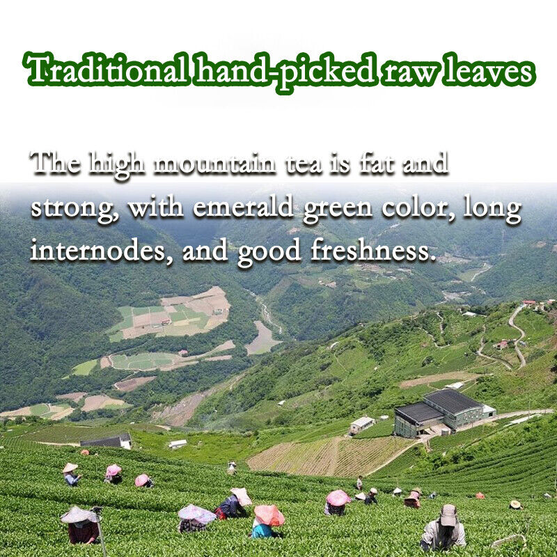 250g High Quality Tiguanyin Tea Taiwan Jin Xuan Milk Oolong Health Care Milk Tea