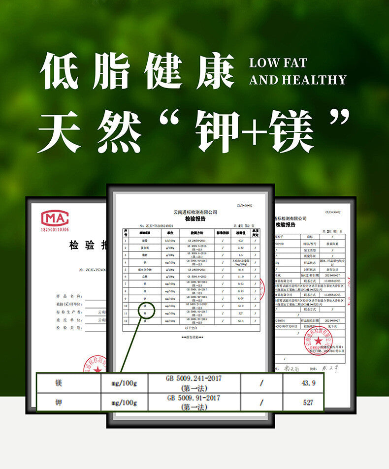Yunnan Parana Pine Nuts – Hand-Picked Jumbo Shelled