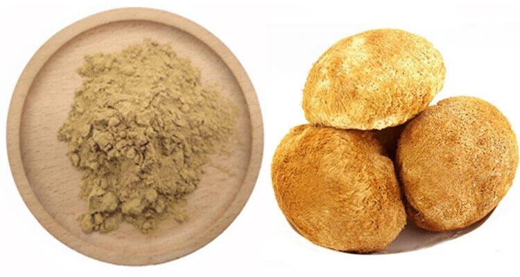 Bulk Mushroom Lions Mane Dual Extract Powder With Best Price 250g