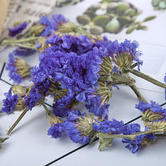Blue Forget-Me-Not Bulk Forget-Me-Not Dried Flowers Herbal Tea 500g