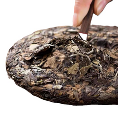 HelloYoung 350g Fuding high mountain white tea aged day sun old tea cake gongmei shoumei