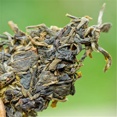 357g Pure Tree Puerh Tea Yunnan Highland Pu-erh Tea Cake Raw Tea Puer Sheng Cha