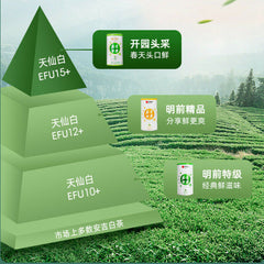 HelloYoung 100g Anji Baicha White Tea Early Spring Green Tea One Bud One Leaf Chinese Tea