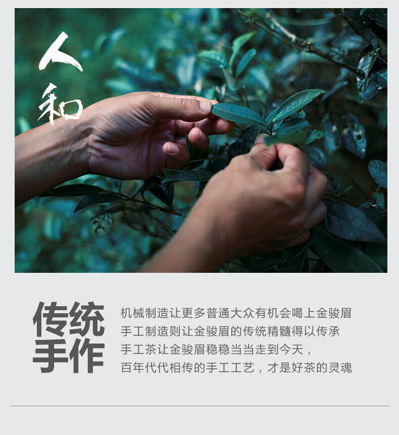 HelloYoung Liubei Jinjunmei Black Tea Honey Aroma Type Wuyishan Tongmuguan New Tea 125g