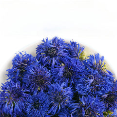 Blue Hibiscus Dried Flowers Cornflower Dried Petals Sapphire Bulk 500g