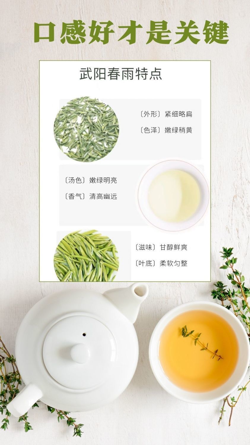 Wuyi High Mountain Spring Rain Tea 100g Premium Green Tea