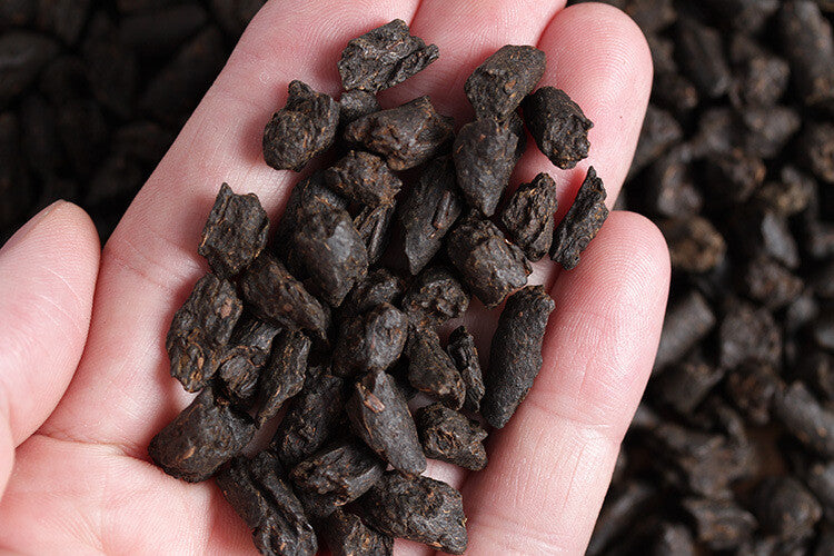 Yunnan Puerh Tea 2009 Menghai Strong Sticky Fragrant Tea Fossil 500g/Can