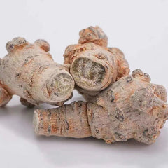 Authentic Panax Ginseng Powder Wild Premium Pure Panax Ginseng Powder