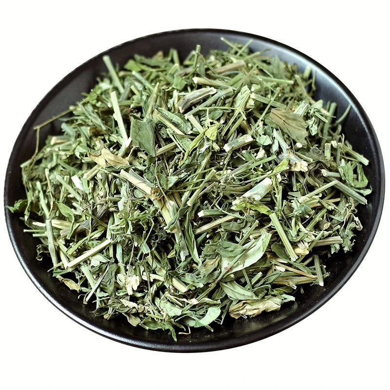100% Organic Andrographis Paniculata Natural Herbs Cut Without Leaves
