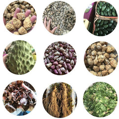 100g Dried Ginger Extract Powder Water Soluble | Warming Herb | Vegan