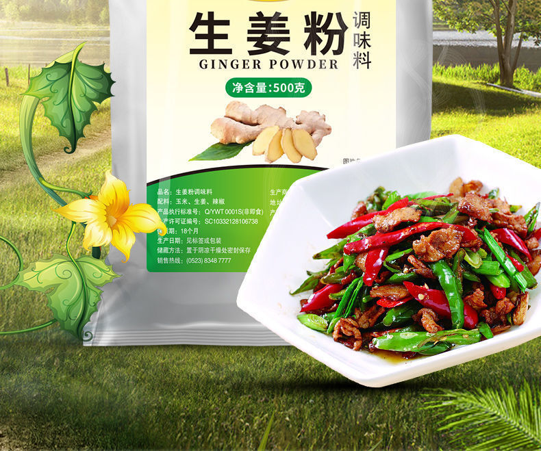 Pure Ginger Powder Raw Material Seasoning Marinated Filling Spice Powder 500g