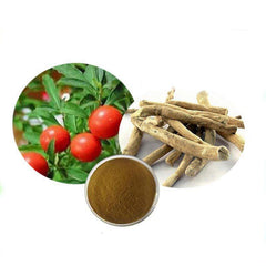 100g Ashwagandha Root Extract 10:1 – Organic, Non-GMO Withania Somnifera