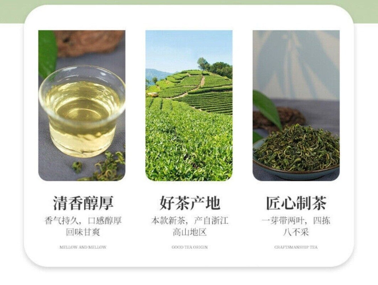 An No 4 Green Tea Iron Can Fresh Picked Premium Gift for Tea Lovers