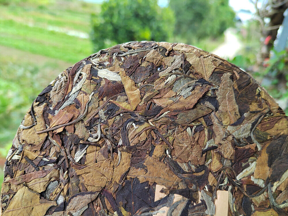 HelloYoung 300g White Tea Yunnan Pu'er Tea Moonlight White Pu'er Old Tree White Tea Cake