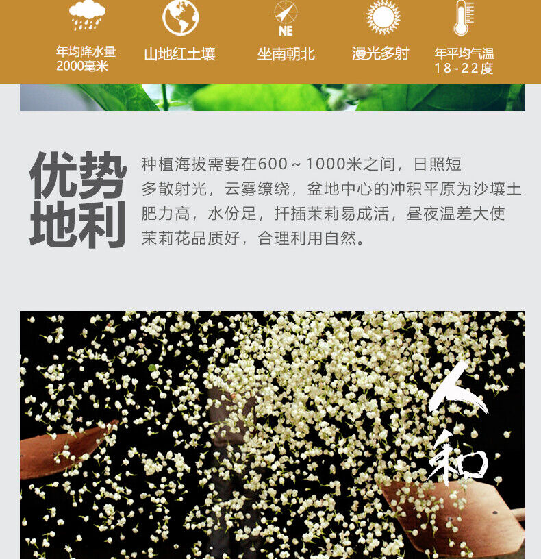 HelloYoung Strong Fragrance Jasmine Tea New Tea Loose Drifting Fragrance Herbal Tea 100g