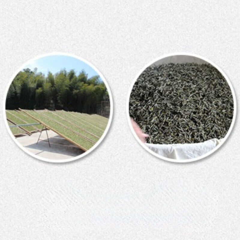 HelloYoung Organic Peony White Tea Jujube Aroma Tea Fuding White Tea Bulk Gaoshan 500g